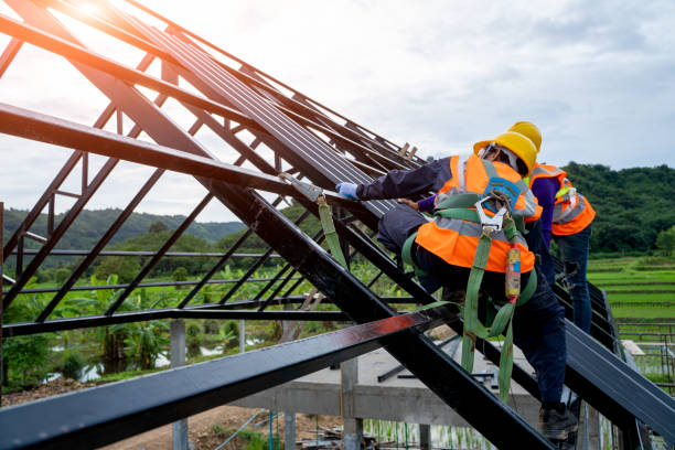 Best Metal Roofing Contractor  in Natchitoches, LA